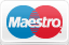 maestro_logo