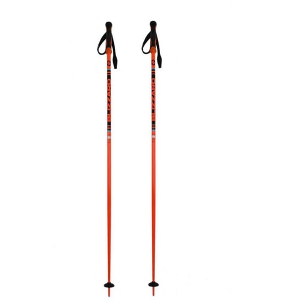 BLIZZARD RACE SKI POLES