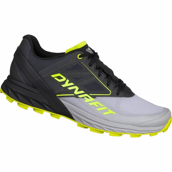 DYNAFIT ALPINE Alloy/Black Out