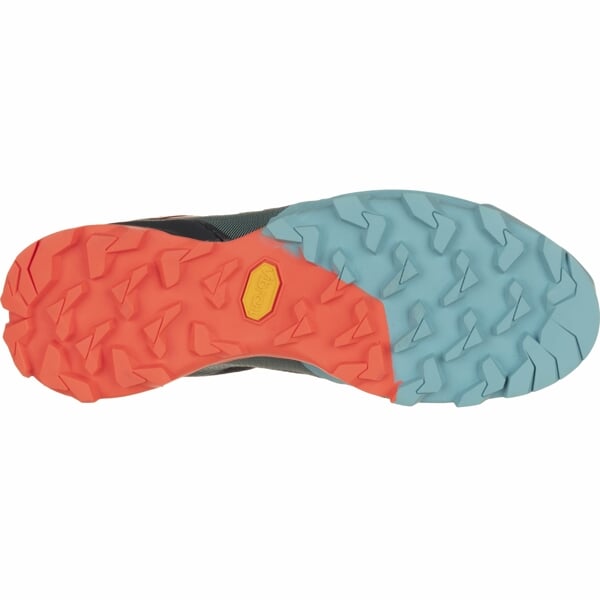 DYNAFIT TRANSALPER GTX W Marin