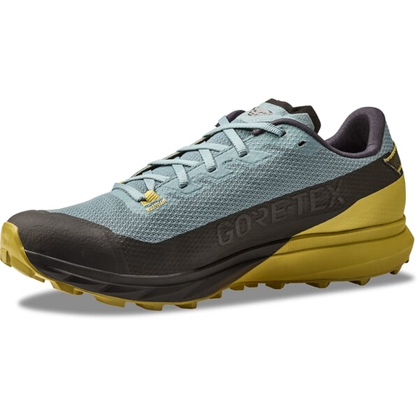 DYNAFIT ULTRA GTX Black Out/At