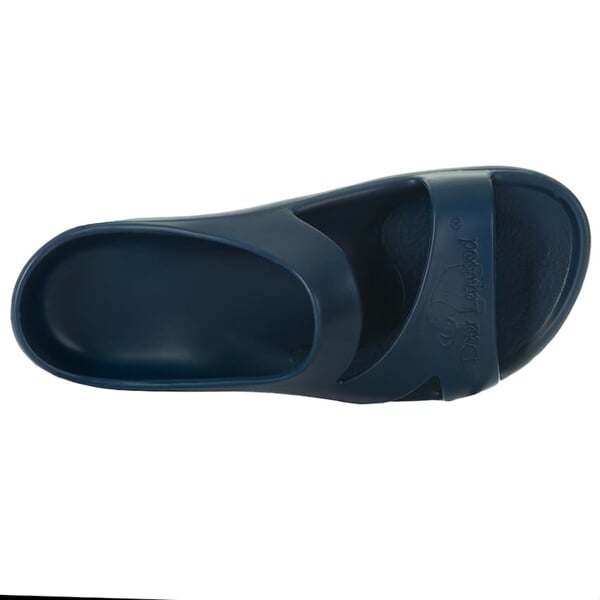 PETER LEGWOOD DOLPHIN Blu Scur