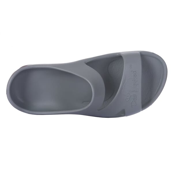 PETER LEGWOOD DOLPHIN Grigio