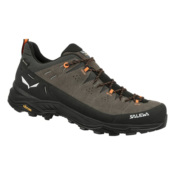 SALEWA ALP TRAINER 2 GTX M Bun