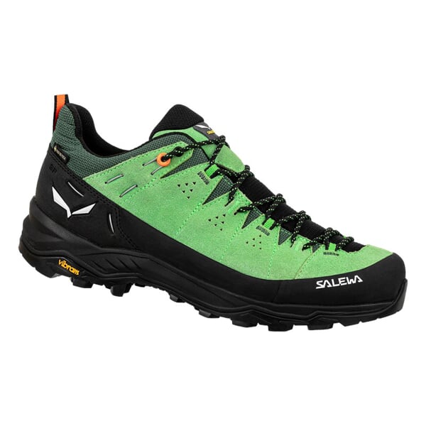 SALEWA ALP TRAINER 2 GTX M Pal