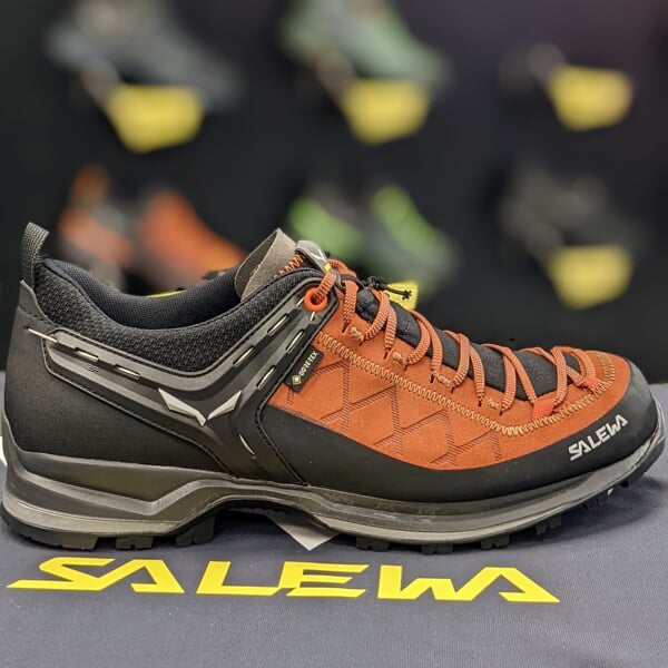 SALEWA MS MTN TRAINER 2 GTX Au