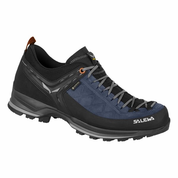 SALEWA MS MTN TRAINER 2 GTX