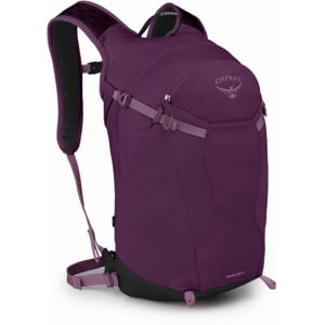 Aubergine Purple