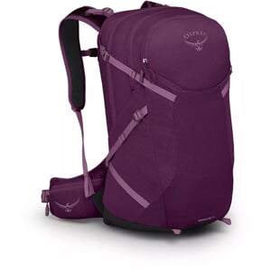 Aubergine Purple