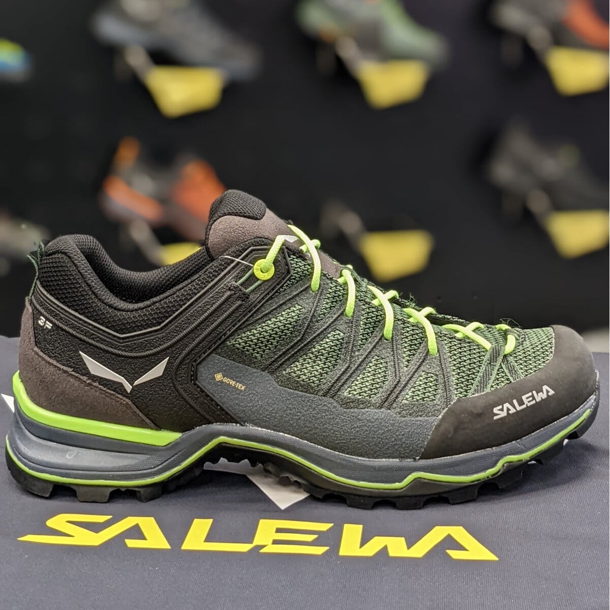 今年も話題の Salewa サレワ ハイキングシューズ MTN Trainer Lite
