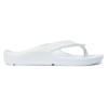 PETER LEGWOOD SHARK Bianco