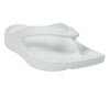 PETER LEGWOOD SHARK Bianco