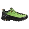 SALEWA ALP TRAINER 2 GTX M Pal