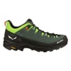 SALEWA ALP TRAINER 2 M Raw Gre