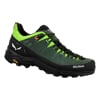 SALEWA ALP TRAINER 2 M Raw Gre