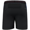 SALEWA PEDROC 2 DST M SHORTS E