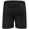 SALEWA PEDROC 2 DST M SHORTS O